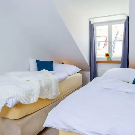 The * České Budějovice