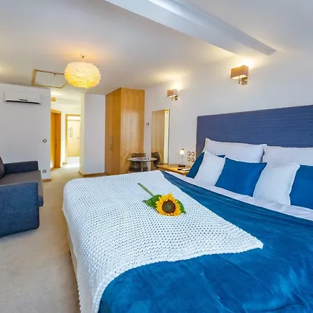 The * České Budějovice