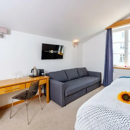 The * Ceske Budejovice