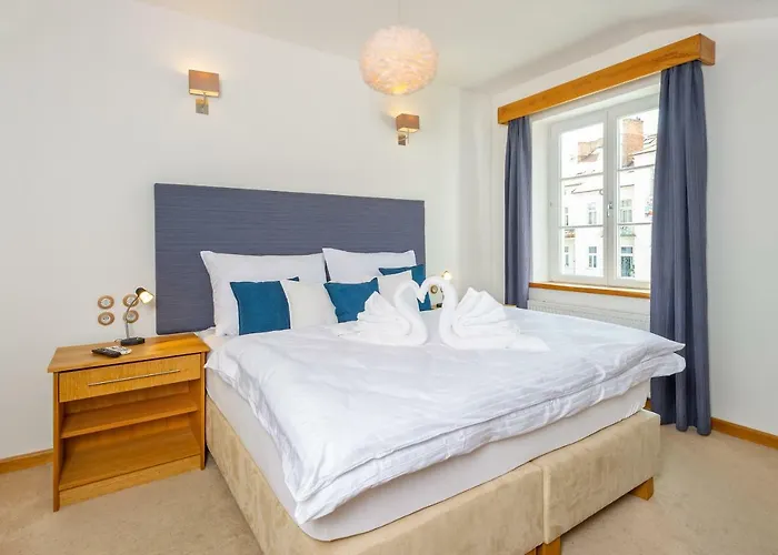 The * Ceske Budejovice