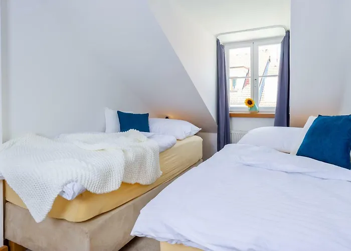 The * Ceske Budejovice