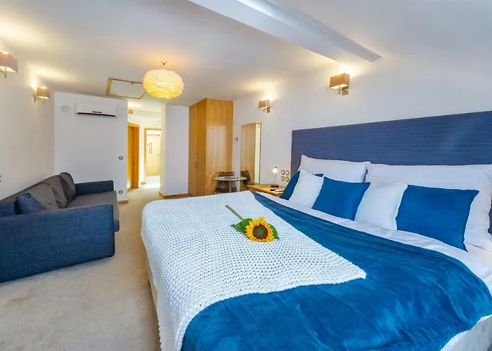 The * צ'סקה בודיוביצה