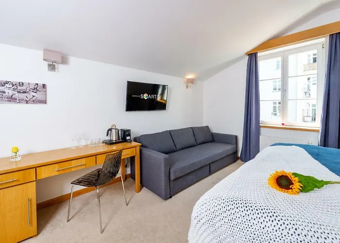 The * České Budějovice